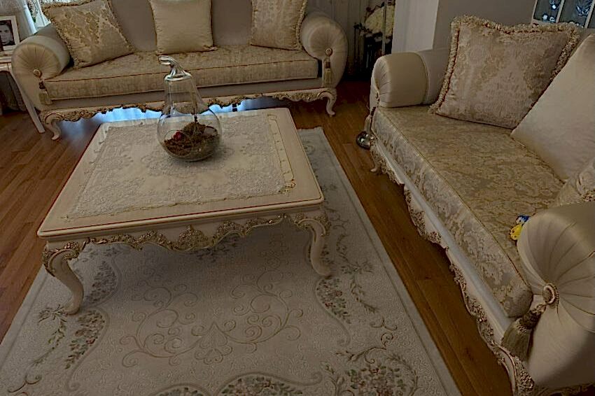 Kedi Ev Temizligi Kedili Ev Temizliği